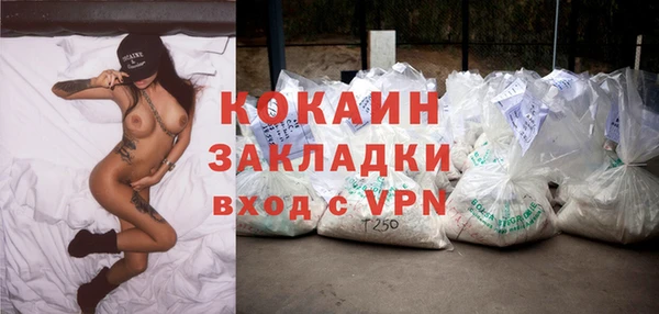 тгк Алексин