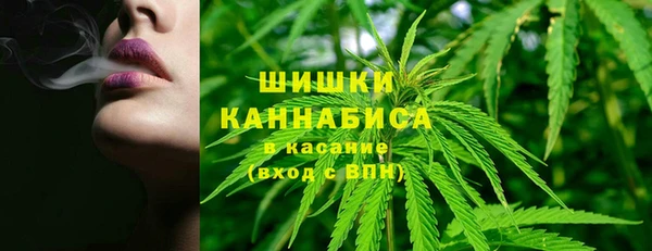 шишки Алексеевка