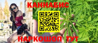 тгк Гай
