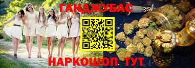 спайс Гагарин