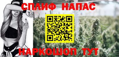 тгк Гай