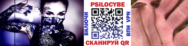 где купить наркоту Лесосибирск Галлюциногенные грибы мицелий